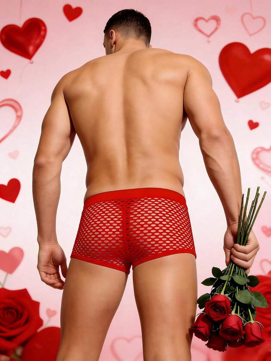 Men's breathable mesh trunk underwear featuring plain contrast mesh design and quick-drying polyester fabric.